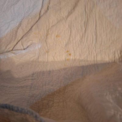 Vintage Sunbonnet Sue Embroidered Quilt- top edge has a lot of damage. see all photos.