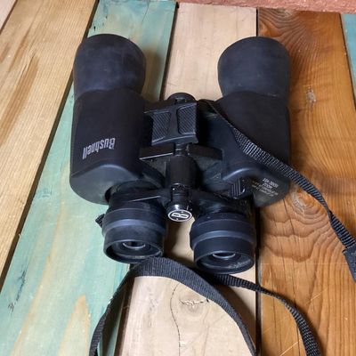 Sale Photo Thumbnail #248: Pair of Bushnell 10x-30x50 zoom binoculars featuring variable magnification controls and a attached black woven neck strap. The casing is finished in a durable black rubberized coating. In used condition with light surface dust and minor wear consistent w