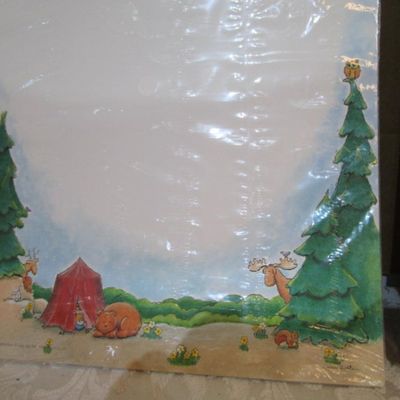 Sale Photo Thumbnail #522: 35 sheets of camping scrapbook paper, 19 sheets crushed leaf sample packet (various colors) , 25 sheets blue/rainbow 60 lb. card stock, all 8-1/2" x 11", see pictures