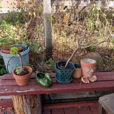 Sale Photo Thumbnail #835: Assorted garden decor and planters