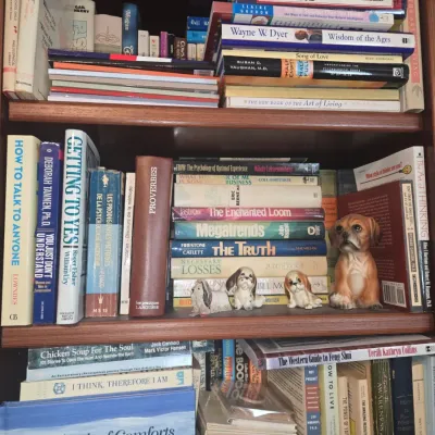 Sale Photo Thumbnail #900: Collection of vintage self help and psychology books
