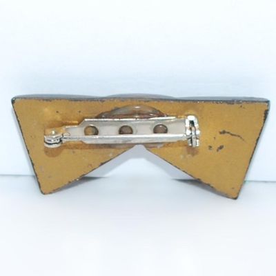 Vintage ACRYLIC 2 Tone Brown BROOCH (1½" x ¾") on a Painted Backside