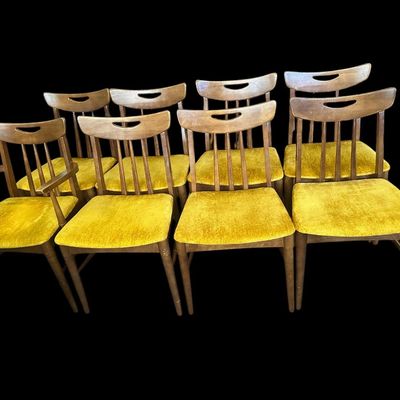 Sale Photo Thumbnail #599: 60.00 (w/o leaf) 72.00 (w/leaf) 40.00 Wide 29.00 Tall Mid-Century Modern Walnut Dining Table Set with 8 Mustard Velvet Chairs & Leaf  features tapered legs  1 leaf  leather table pad covers  and 8 matching MCM chairs (2 armchairs  6 side chairs) with cut-