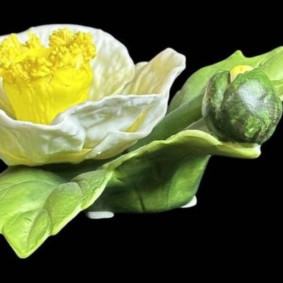 Sale Photo Thumbnail #1042:  Capodimonte 5.5-Inch Porcelain Yellow and White Daffodil.                           