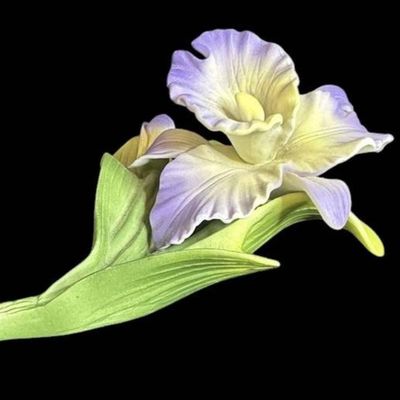 Sale Photo Thumbnail #1048:  Capodimonte Iris Porcelain Flower Figurine  5 Inches.                           