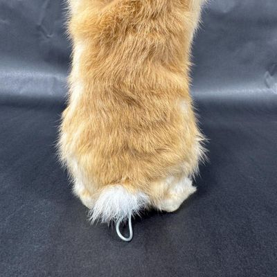Sale Photo Thumbnail #103