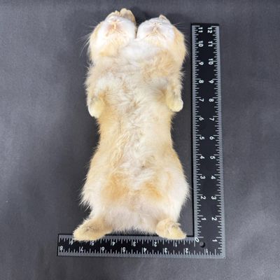 Sale Photo Thumbnail #110