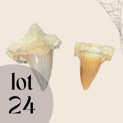 Sale Photo Thumbnail #287
