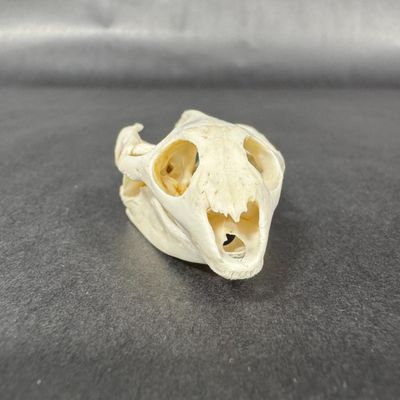 Sale Photo Thumbnail #488