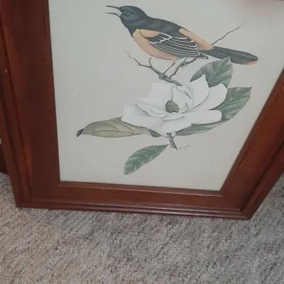 Framed botanical art print depicting an oriole perched on a magnolia blossom, presented in a molded wooden frame.