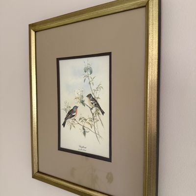 Framed John Gould print titled "Chaffinch," presented in a double mat with a textured gold-finished frame.