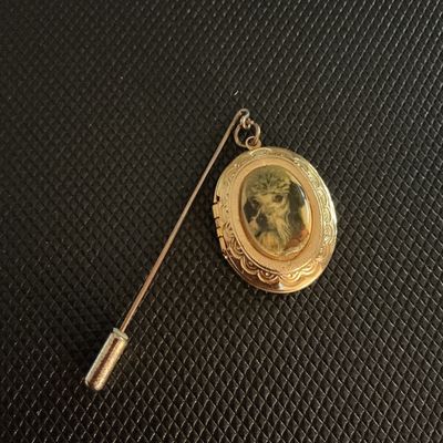 Vintage Gold Tone Dog Portrait Oval Locket Stick Pin