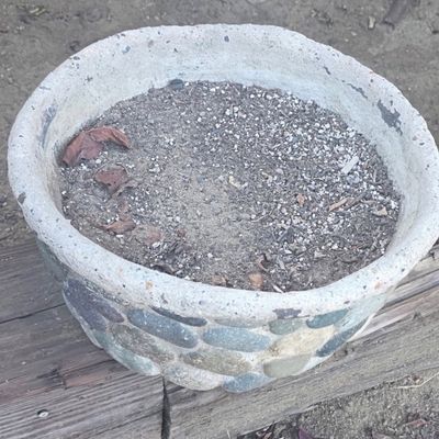 Sale Photo Thumbnail #47: Round concrete garden planter decorated with embedded river stones, showing light wear and dry soil inside.
