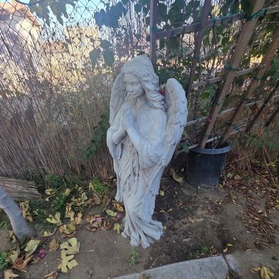 Sale Photo Thumbnail #70: Cast concrete praying angel garden statue featuring detailed wings and flowing robes.