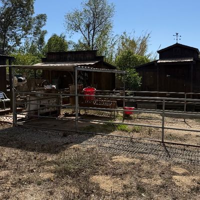Sale Photo Thumbnail #97: Rustic outdoor property featuring wooden sheds, Western-style facade structures, metal corral fencing, and various farm items.