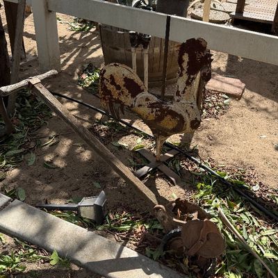 Sale Photo Thumbnail #109: Rustic weathered metal rooster garden sculpture with distressed painted finish alongside a vintage wooden-handled hand plow.