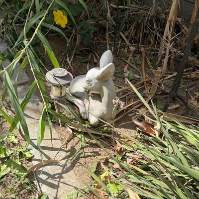 Sale Photo Thumbnail #112: Weathered concrete garden statue of a resting fawn paired with a small solar landscape light, placed among garden foliage.