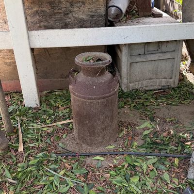 Sale Photo Thumbnail #114: Vintage heavy rustic metal milk can sitting outdoors, featuring significant patina and weathered surface wear.