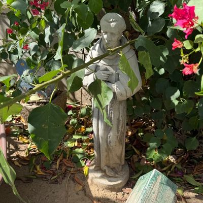 Sale Photo Thumbnail #115: Concrete St. Francis of Assisi garden statue standing among lush foliage alongside a weathered wooden birdhouse and small rabbit figurine.