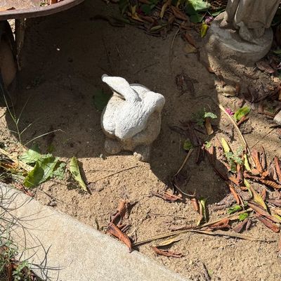 Sale Photo Thumbnail #116: Concrete rabbit garden statue with a white-painted tail sitting in a dirt garden bed near a wheelbarrow.