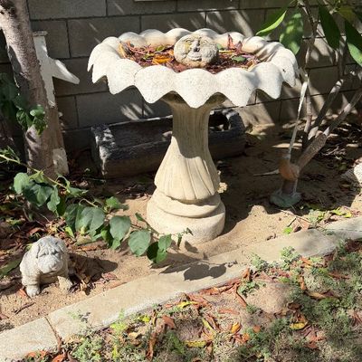 Sale Photo Thumbnail #119: Scalloped concrete birdbath with a stone face ornament in the bowl, displayed alongside garden statues and a vintage Wix Filters metal sign.