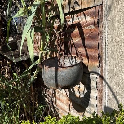 Sale Photo Thumbnail #121: Rustic weathered metal hanging cauldron planter attached to a chain against a corrugated metal wall background.