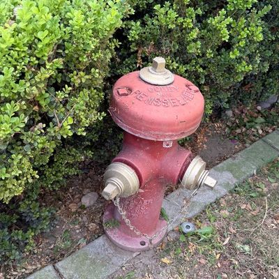 Sale Photo Thumbnail #126: Vintage Rensselaer Corey cast iron fire hydrant painted red and gold, set outdoors as garden decor.
