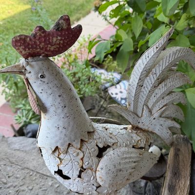 Sale Photo Thumbnail #127: Rustic painted metal rooster garden statue with distressed white and red finish, featuring detailed feather cutouts.