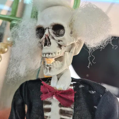 Sale Photo Thumbnail #401: Novelty skeleton figure wearing a tuxedo jacket, red bow tie, and frizzy white synthetic hair, suitable for Halloween decor.