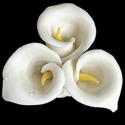 Sale Photo Thumbnail #1019:  3 Capodimonte Floral Figurines  2.5-3 Inches Each.                           
