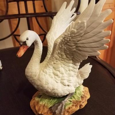 Lot-D7 "Mute Swan" Andrea by Sadek