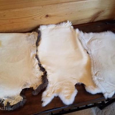 Lot-B35 5 Pc White & Brown Rabbit Fur Pelt Lot