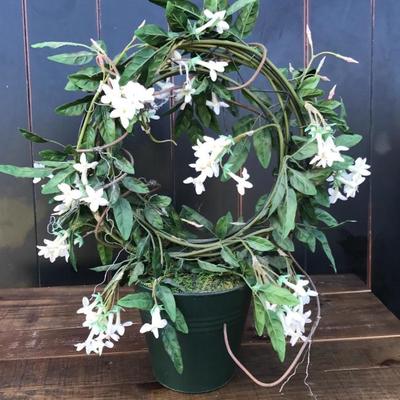 Silk plant white flowers 