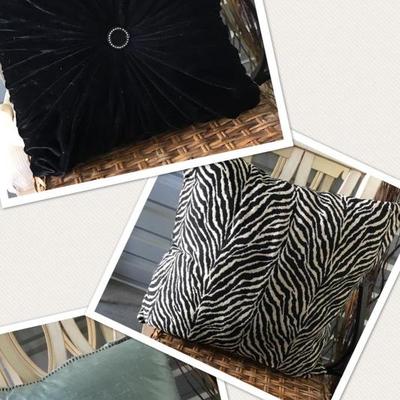 Gorgeous 3 PC pillow lot 