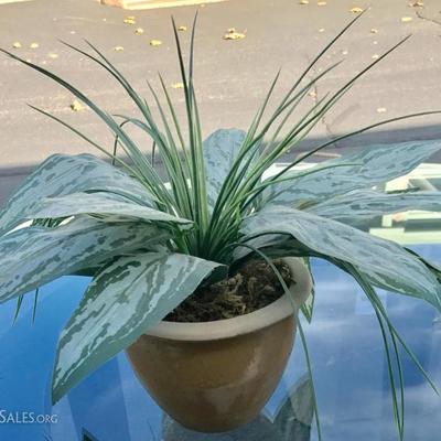 Silk house plant long leaves 