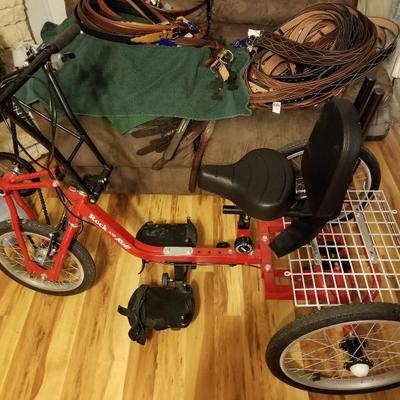 Rockn roll trike for special needs