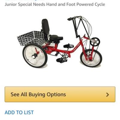 Rockn roll trike for special needs