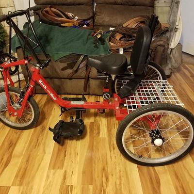 Rockn roll trike for special needs