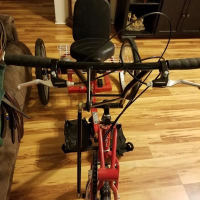 Rockn roll trike for special needs