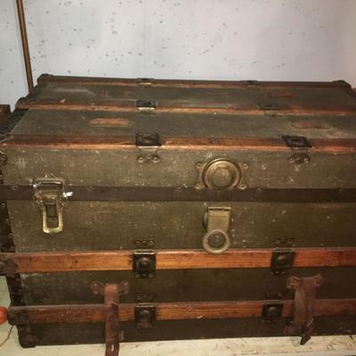 Green and Wood Trunk