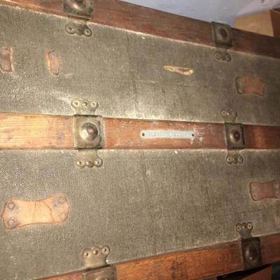 Green and Wood Trunk