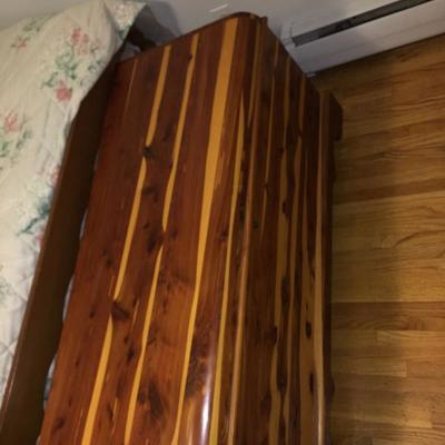 Gorgeous Cedar Trunk