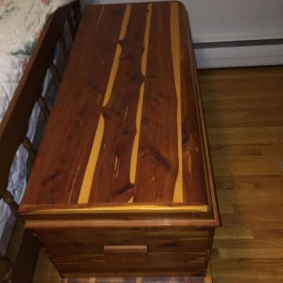 Gorgeous Cedar Trunk