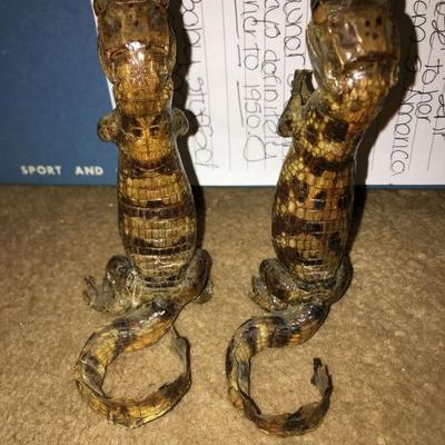 1950s Caiman Taxidermy