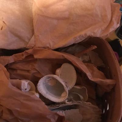 Sea Shells and Picnic Basket