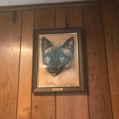 Cat Pictures