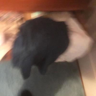 Bachelor Chest drawer contents clothing and such