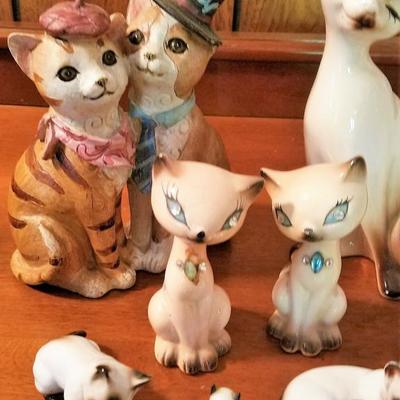 Cats On The Shelf #1