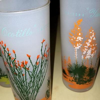 Arizona Glasses #172