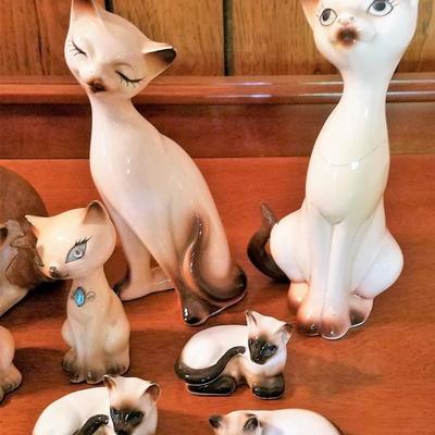 Cats On The Shelf #1